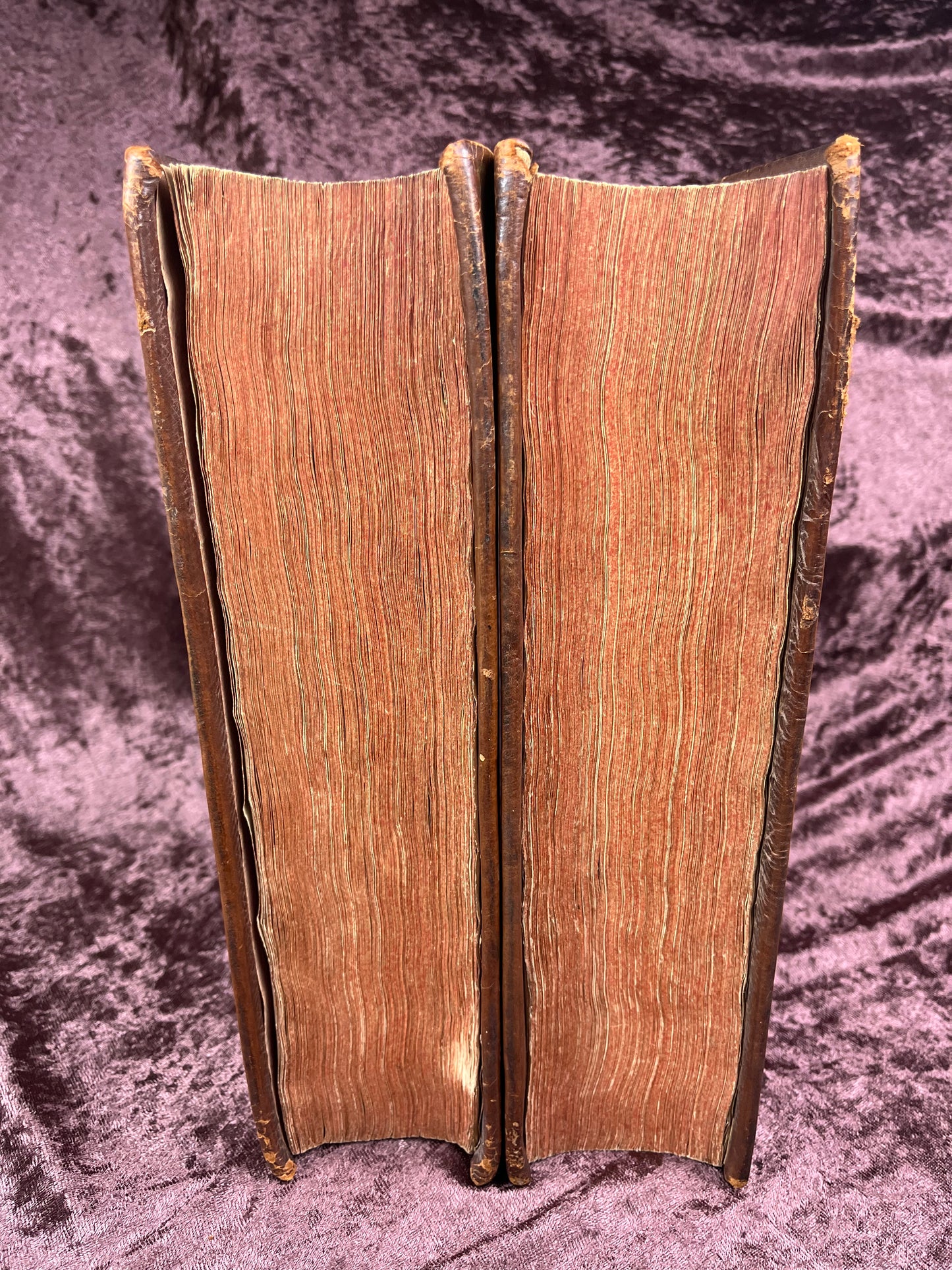 1752 Folio First Edition Greek New Testament With Robert Estiennes Text, Wettsteins Criticism, and a Syriac Version of Saint Clements Epistles E.T. Rare Books