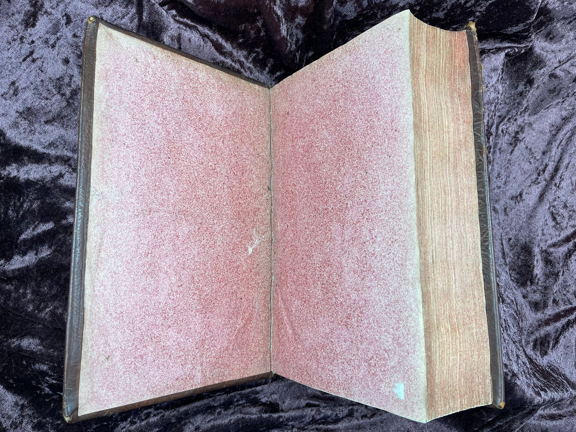 1752 Folio First Edition Greek New Testament With Robert Estiennes Text, Wettsteins Criticism, and a Syriac Version of Saint Clements Epistles E.T. Rare Books