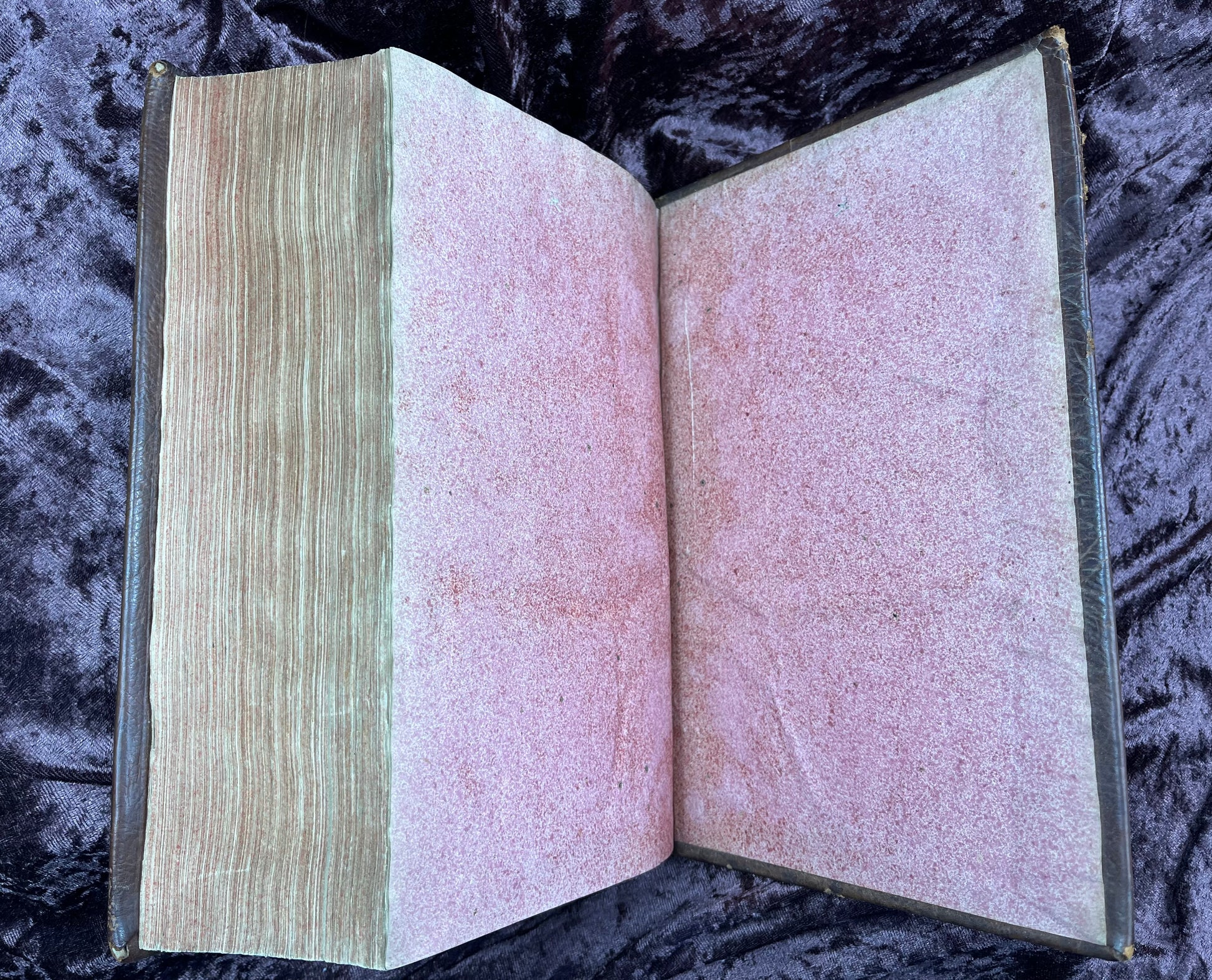 1752 Folio First Edition Greek New Testament With Robert Estiennes Text, Wettsteins Criticism, and a Syriac Version of Saint Clements Epistles E.T. Rare Books