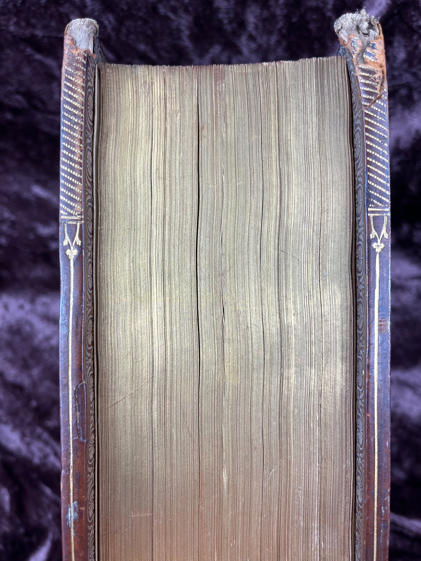 1751 Folio First Edition King James Bible Printed By Thomas Baskett-Bound With 16 Extra Illustrations And Was Once Owned By George Barclay Of Burford Lodge