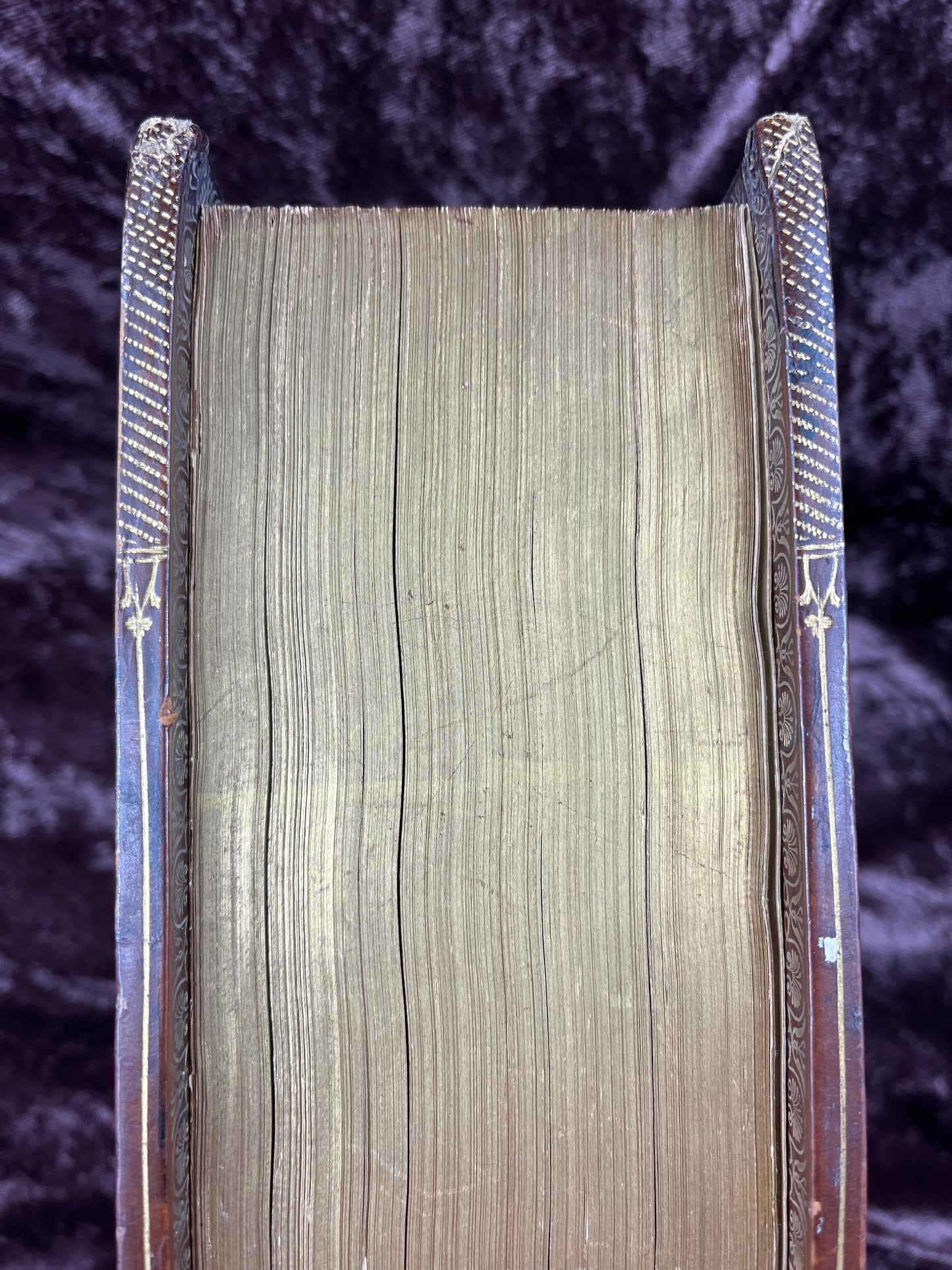 1751 Folio First Edition King James Bible Printed By Thomas Baskett-Bound With 16 Extra Illustrations And Was Once Owned By George Barclay Of Burford Lodge