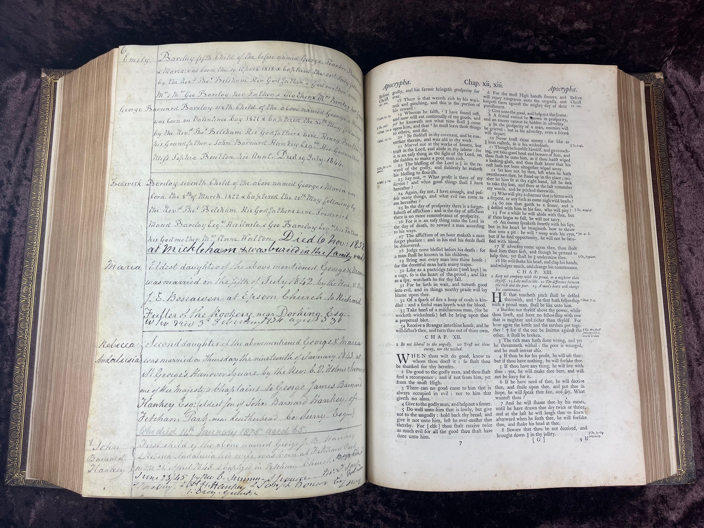 1751 Folio First Edition King James Bible Printed By Thomas Baskett-Bound With 16 Extra Illustrations And Was Once Owned By George Barclay Of Burford Lodge