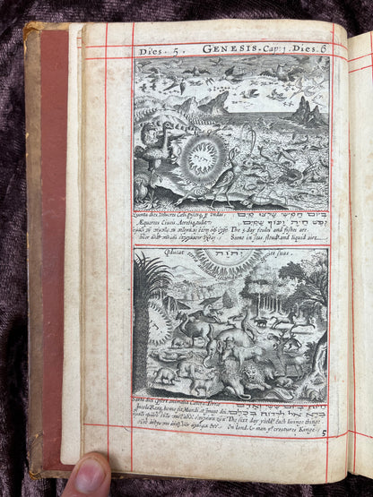 1660 Octavo King James Bible Printed By Henry Hills And John Field Which Marked The Restoration Period-Bound With 144 Extra Illustrations